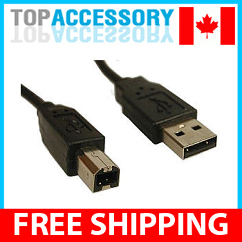 Feet usb type a - usb, male